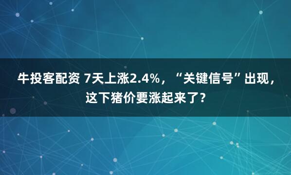 牛投客配资 7天上涨2.4%，“关键信号”出现，这下猪价要涨起来了？